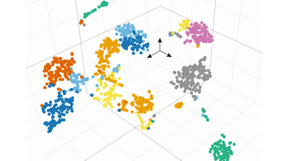 Darstellung_des_Fingerabdrucks_der_Genexpression_Cochain_Vafadarnejad_Saliba_Zernecke.jpg Darstellung des Fingerabdrucks der Genexpression