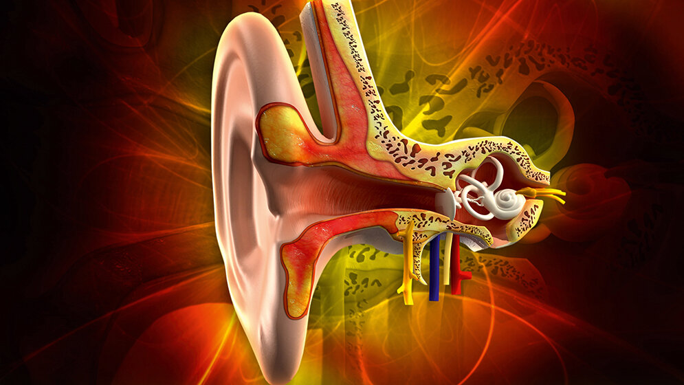 Audiologie Versorgungsmöglichkeiten von Hörstörungen (Teil 2)