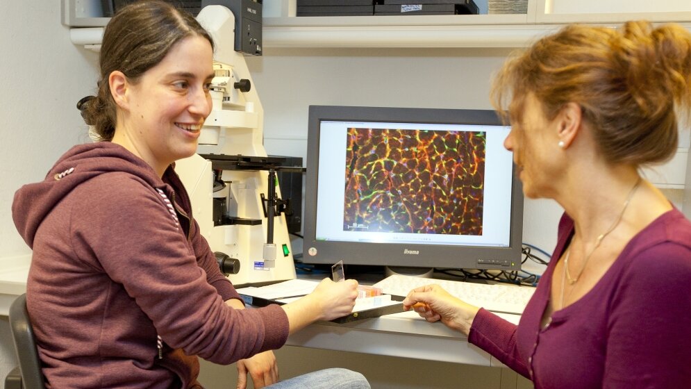 Dr_Britta_Stapel_Professorin_Hilfiker_Kleiner_am_Mikroskop_Foto_MHH_Kaiser_29032016.jpg Dr. Britta Stapel und Professorin Hilfiker-Kleiner am Mikroskop