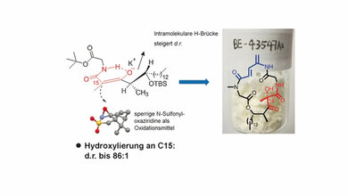 Zyklische_Depsipeptide_helfen_vielleicht_bei_der_Entschaerfung_von_Bauchspeicheldruesenkrebs_Wiley_VCH.jpg Zyklische Depsipeptide