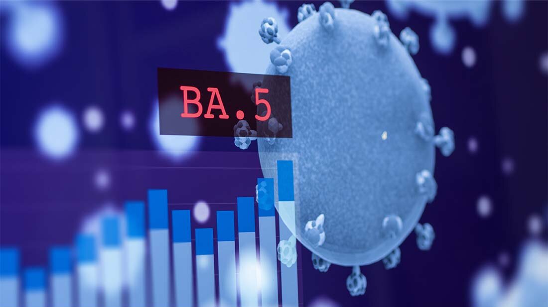 BA.5.jpg COVID-19: Herbstwelle