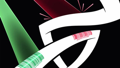 Chaperone_erkennen_Aminosaeuresequenzen_Joshua_Stokes_St_Jude_Children_s_Research_Hospital.jpg Chaperone erkennen defekte Proteine