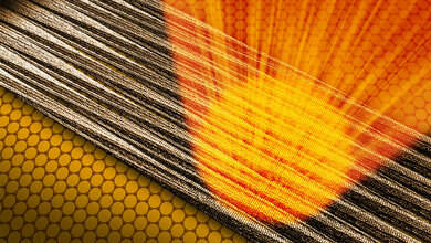 Fibrillen_lagern_sich_auf_dem_ultraduennen_Traeger_aus_Graphen_an_Greg_Stewart_SLAC_National_Accelerator_Laboratory.jpg Fibrillen lagern sich auf dem ultraduennen Traeger aus Graphen an