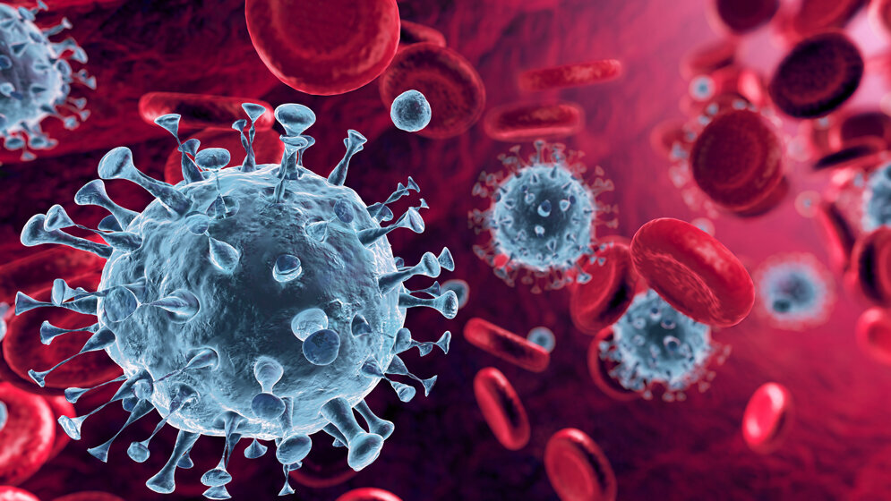 Coronavirus_Romolo_Tavani_stock_adobe_com.jpg IgG-Antikörpertest