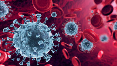 Coronavirus_Romolo_Tavani_stock_adobe_com.jpg IgG-Antikörpertest