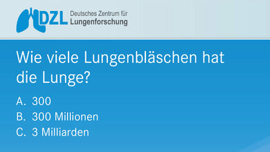 Quiz2_DZL_Frage.jpg Quiz2_DZL_Frage.jpg