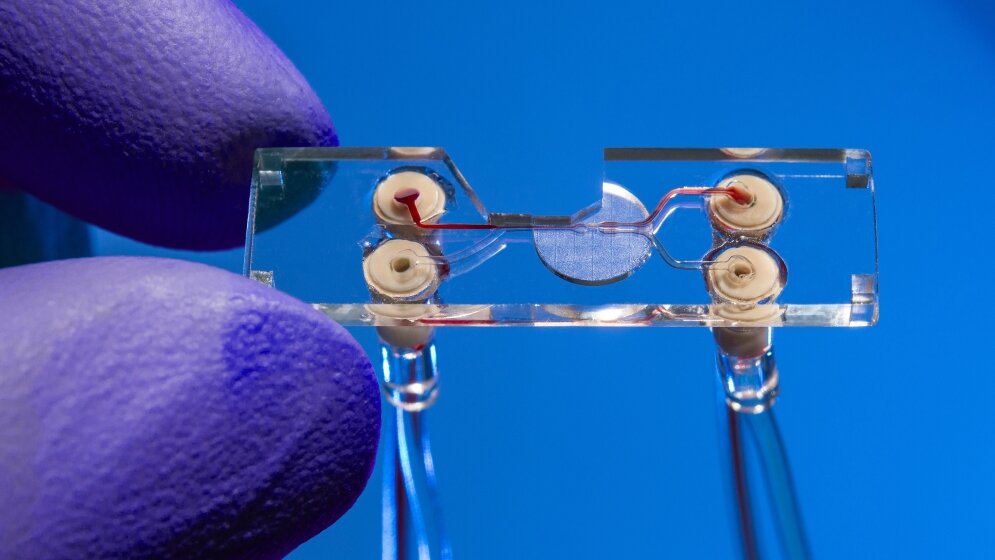 Sortier_Chip_Fraunhofer_ILT_Aachen_Volker_Lannert_24032016.jpg Sortier-Chip