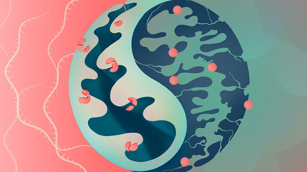 Zellkraftwerk.jpg Insulin steuert Zellkraftwerk