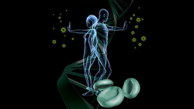 SETD1A_verhindert_die_Anhäufung_von_DNA-Schäden_Grafik_FLI__K_Wagner_Quelle_ua_Fotolia_und_Panthermedia.jpg SETD1A verhindert die Anhäufung von DNA-Schäden