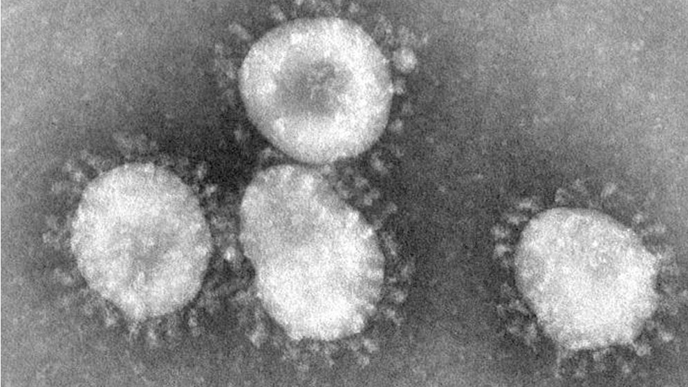 coronavirus_CDC_Dr_Fred_Murphy_15082016.jpg Coronavirus