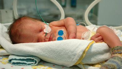 Studie_zur_Immunabwehr_bei_Fruehgeborenen_Foto_PRIMAL.jpg Immunabwehr bei Frühgeborenen