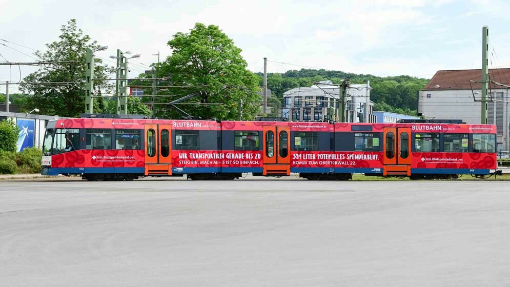 Blutbahn.jpg Blutbahn