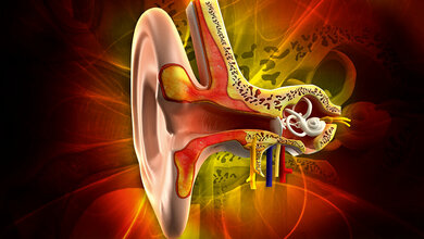 Audiologie Versorgungsmöglichkeiten von Hörstörungen (Teil 1)