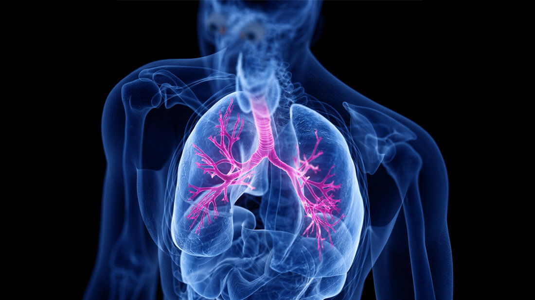 Lunge_Asthma.jpg Unterscheidung Asthma bei Übergewicht