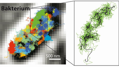 MINFLUX_Yvan_Eilers_Max_Planck_Institut_fuer_biophysikalische_Chemie.jpg MINIFLUX