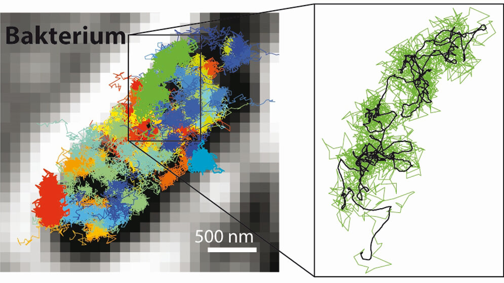 MINFLUX_Yvan_Eilers_Max_Planck_Institut_fuer_biophysikalische_Chemie.jpg MINIFLUX