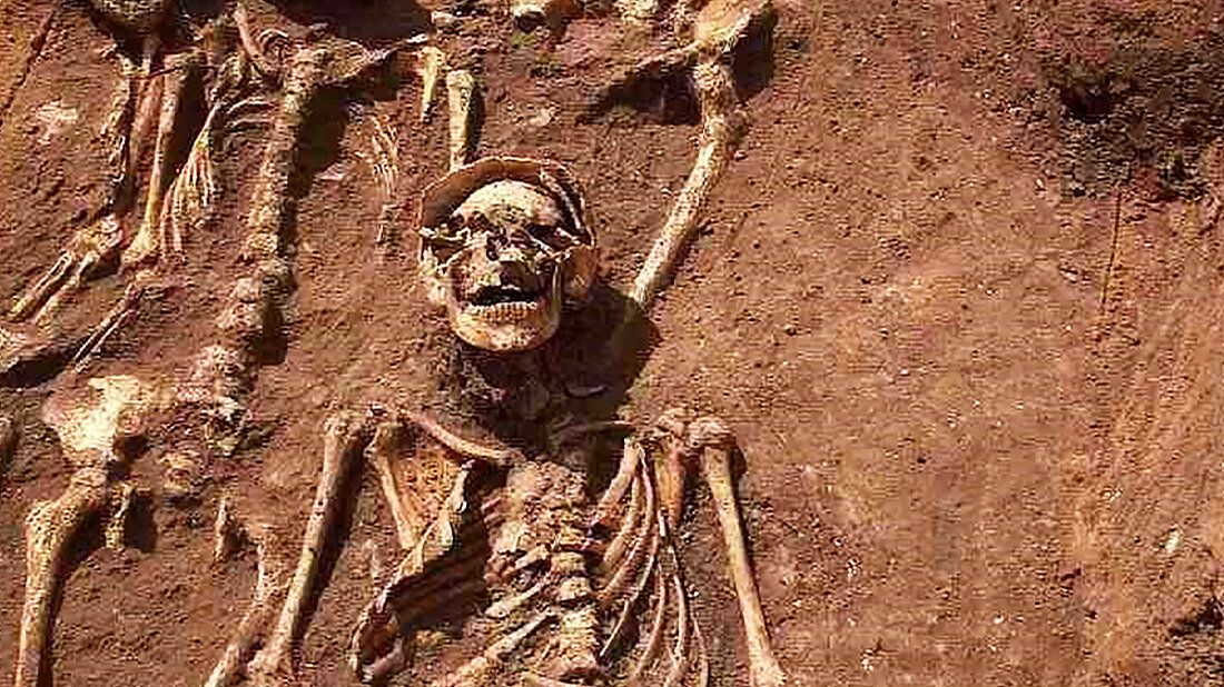 Evolution_der_Pest.jpg Wie sich der Pesterreger verändert hat und was das für heutige Bedeutung Pestausbrüche bedeuten könnte