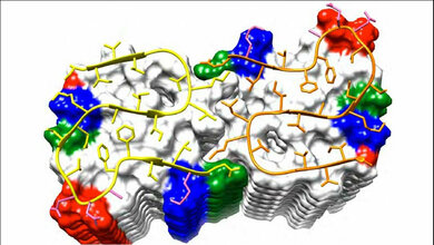 Struktur_Amyloid_Beta_1_42_Fibrille_JACS_02082016.jpg Amyloid-Beta