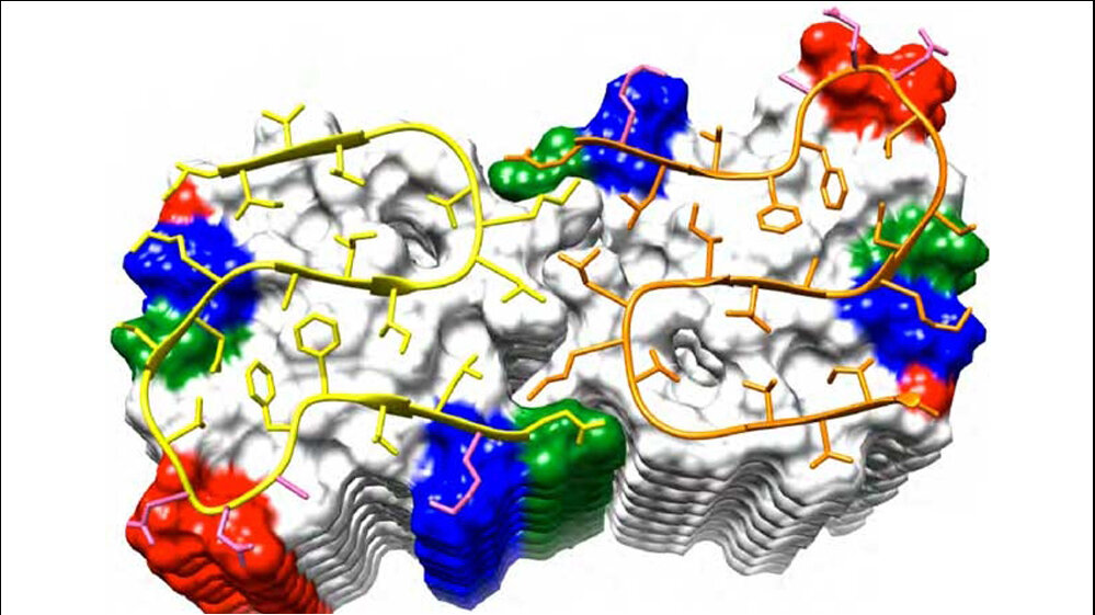 Struktur_Amyloid_Beta_1_42_Fibrille_JACS_02082016.jpg Amyloid-Beta