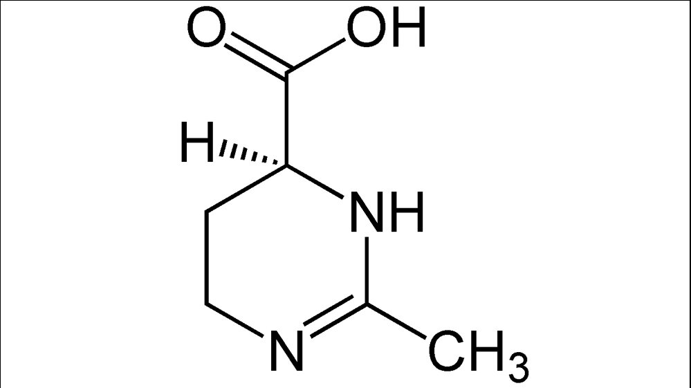 Ecotoin_Struktur_Von_Jue_Eigenes_Werk_CC0_wikimedia.jpg Struktur von Ectoin