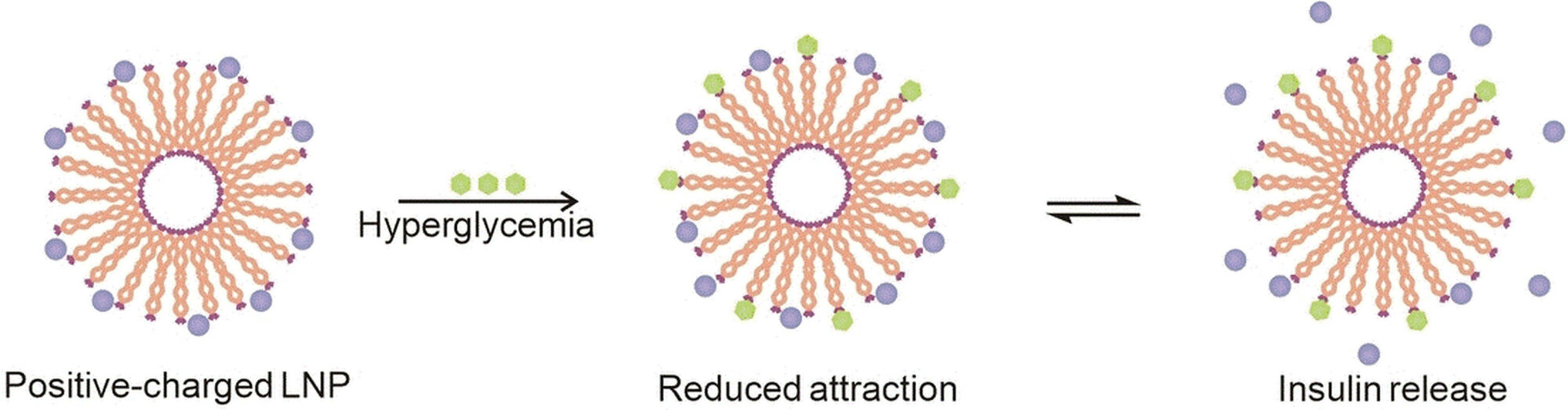 Blutzucker.jpg Blutzucker besser regulieren