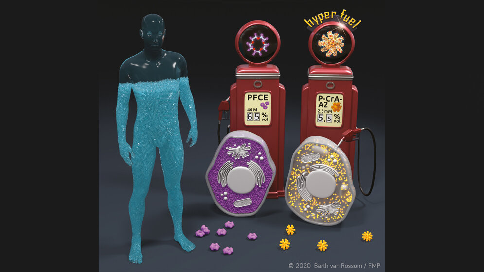 Forscher_demonstrieren_MRT_Kontrastmittel_Barth_van_Rossum_FMP.jpg Forscher demonstrieren MRT-Kontrastmittel