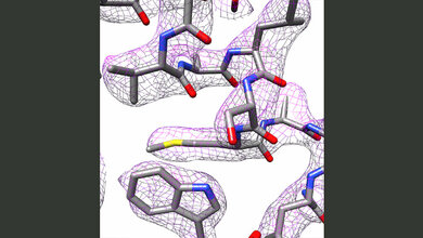 Teil_der_3D_Struktur_von_Apoferritin_Panagiotis_Kastritis.jpg Teil der 3D-Struktur von Apoferritin