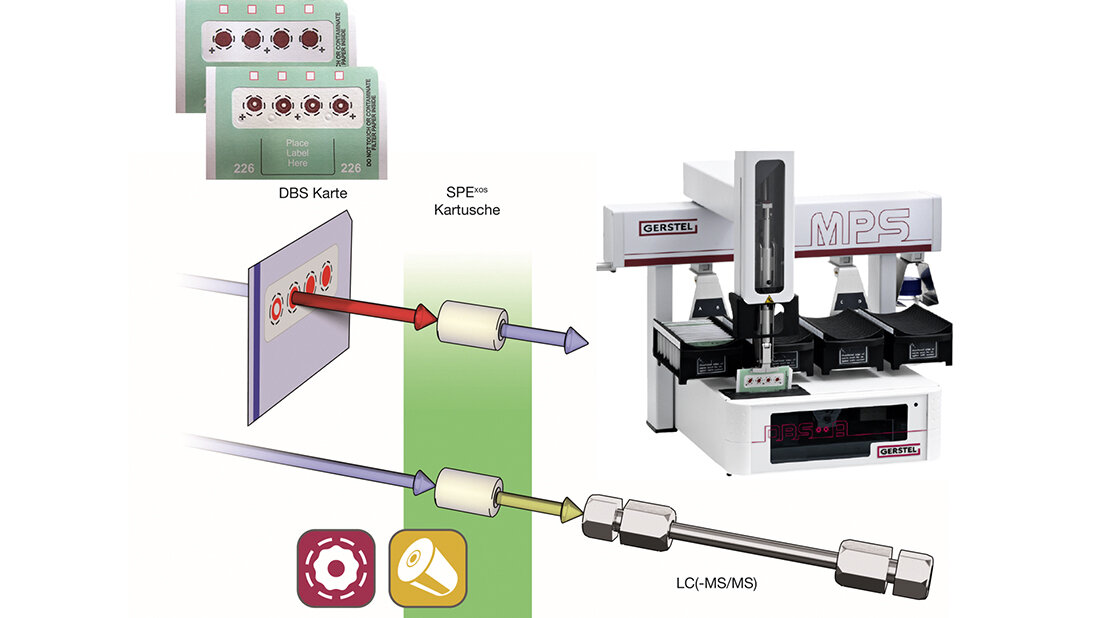 KISS – Keep it simple and smart Grafische Darstellung des Prinzips der Durchflussdesorption (Flow Through Desorption) einer Dried-Blood-Spot-Karte