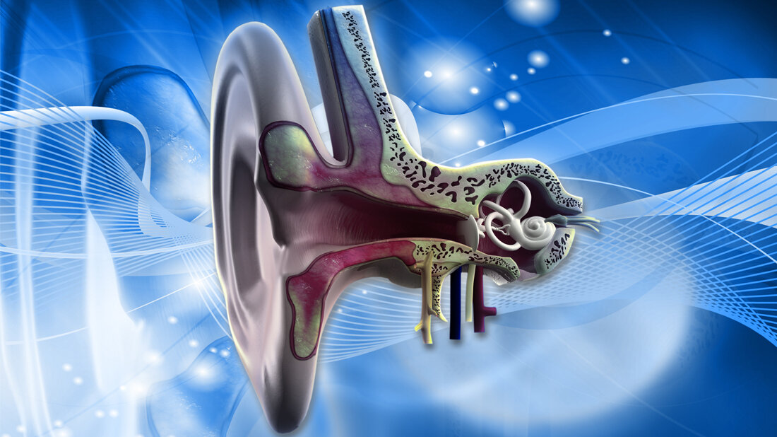cochlea_adobe.jpg Cochlea-Implantat als Sensor