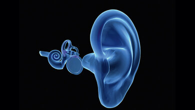 Cochlea-Implantat Schematische 3D-Grafik des menschlichen Hörorgans