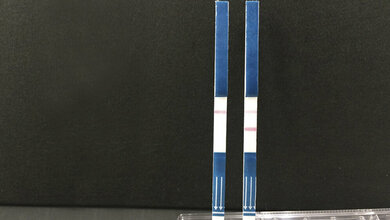 Zika-Virus Tanaka Precious Metals Co., Ltd.