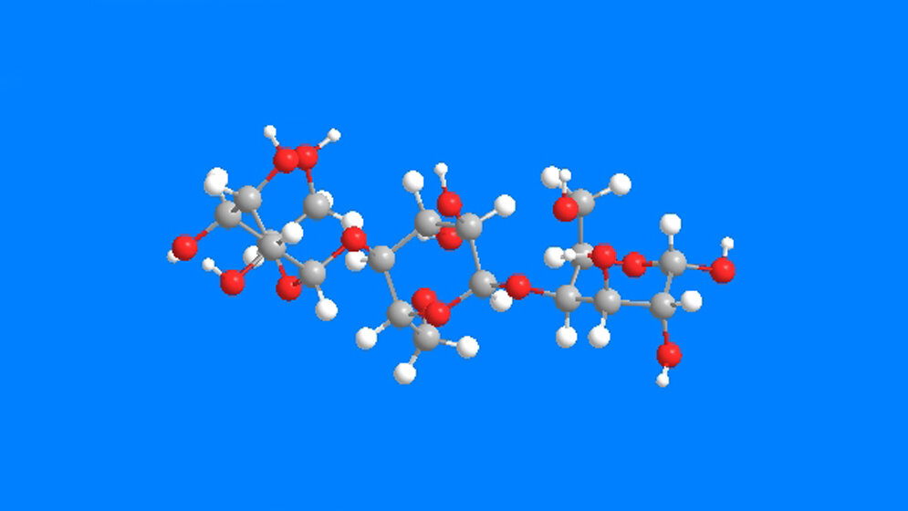 Immunantwort_gegen_Pneumokokken_Benjamin_Schumann_MPI_Kolloid_und_Grenzflaechenforschung.jpg Immunantwort gegen Pneumokokken