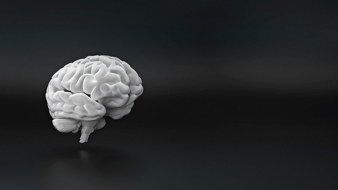 Kortikobasale Degeneration Foteiner 3D-Nachbildung des menschlichen Gehirns