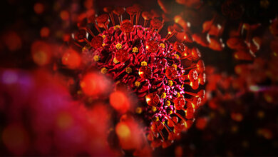 SARS_CoV_2_Von_Matthias_Friel_stock_adobe_com.jpg Kontakte reduzieren, AHA + L-Regel einhalten und impfen