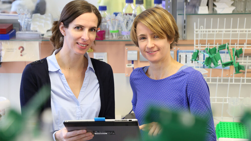 Prof_Martina_Rauner_und_Dr_Ulrike_Baschant_vl__Medizinische_Fakultaet_Carl_Gustav_Carus_der_TU_Dresden_Stephan_Wiegand.jpg Prof. Martina Rauner und Dr. Ulrike Baschant