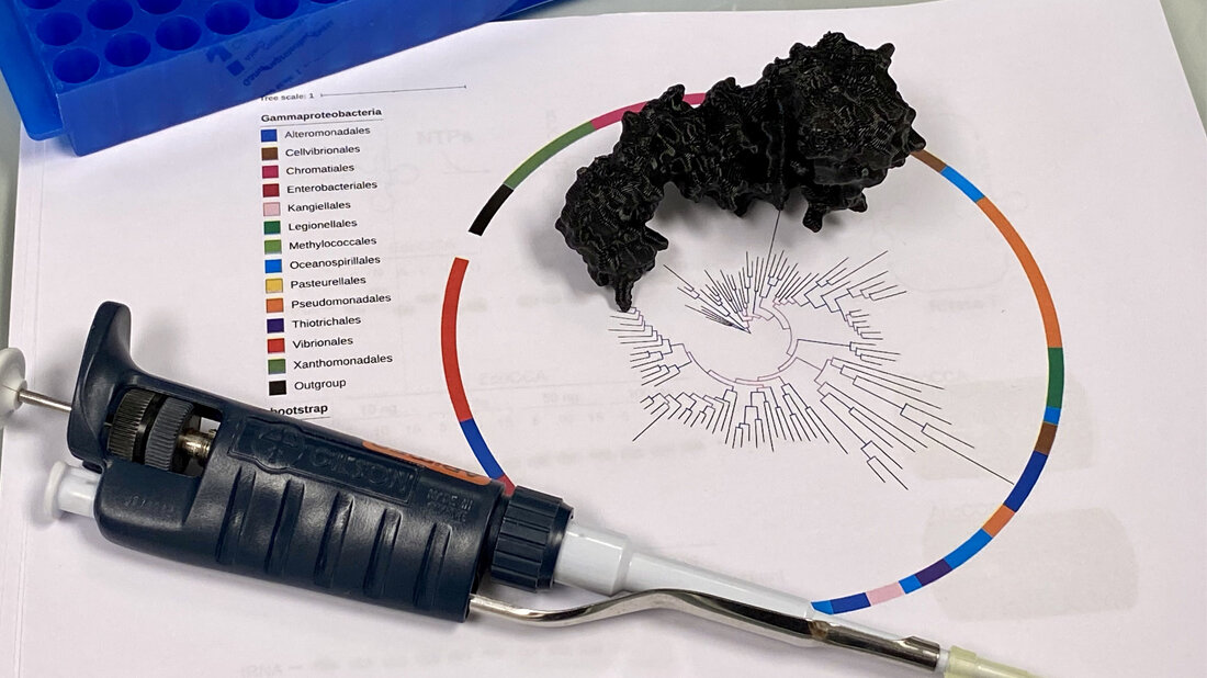 Stammbaum.jpg Stammbaum