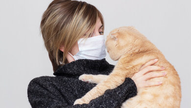 Katze.jpg Katzen und SARS-CoV-2