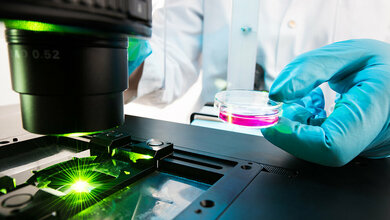 Analyse_von_DNA_Reparaturmechanismen_in_Zellen_per_Fluoreszenz_Mikroskopie_Bild_Conrad_von_Schubert.jpg Analyse von DNA-Reparaturmechanismen