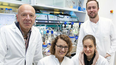 von_links_Dr_Robert_Zweigerdt_Dr_Mania_Ackermann_Dr_Antje_Munder_und_PD_Dr_Nico_Lachmann_im_Labor_MHH_Kaiser.jpg Dr. Robert Zweigerdt, Dr. Mania Ackermann, Dr. Antje Munder und PD Dr. Nico Lachmann