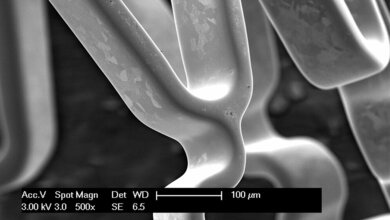 Mit_Titanoxinitrid_beschichteter_Stent_Fraunhofer_IKTS.jpg Mit Titanoxinitrid beschichteter Stent
