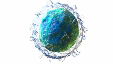 3D_Modell_einer_B_Zelle_Quelle_Paul_Ehrlich_Institut.jpg 3D-Modell einer B-Zelle