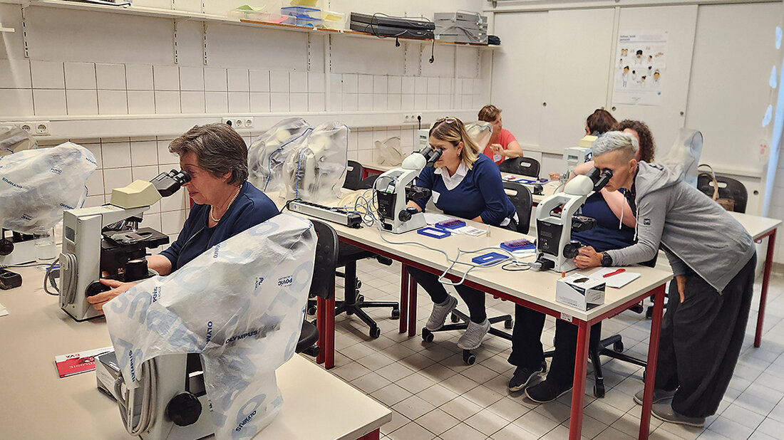 Sommerfest in München Foto vom Sommerfest der LV Bayern mit Personen die Hämatologiepräparate mikroskopieren