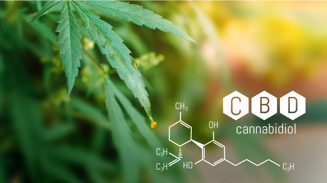 Cannabidiol.jpg Cannabidiol