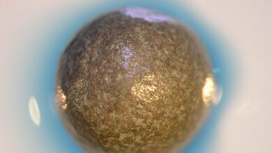 Metallische_Hohlkugel_mit_Pilzenzymen_Werner_TUD.jpg Metallische Hohlkugel mit Pilzenzymen