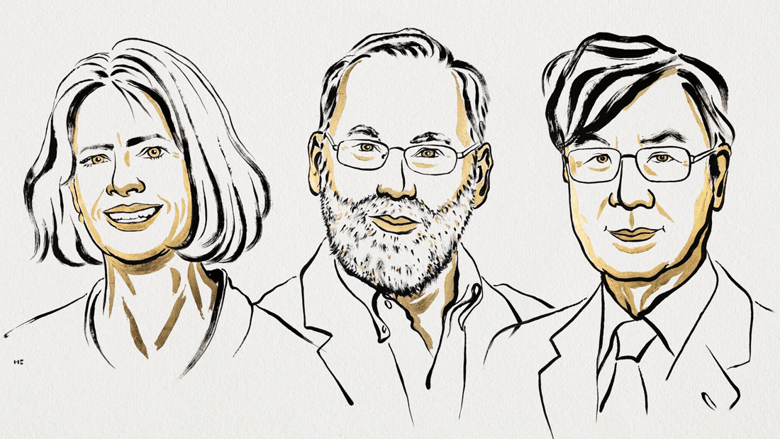 1_2_3-3_2-scaled.gif Mary E. Brunkow, Fred Ramsdell and Shimon Sakaguchi (v.l.n.r.)