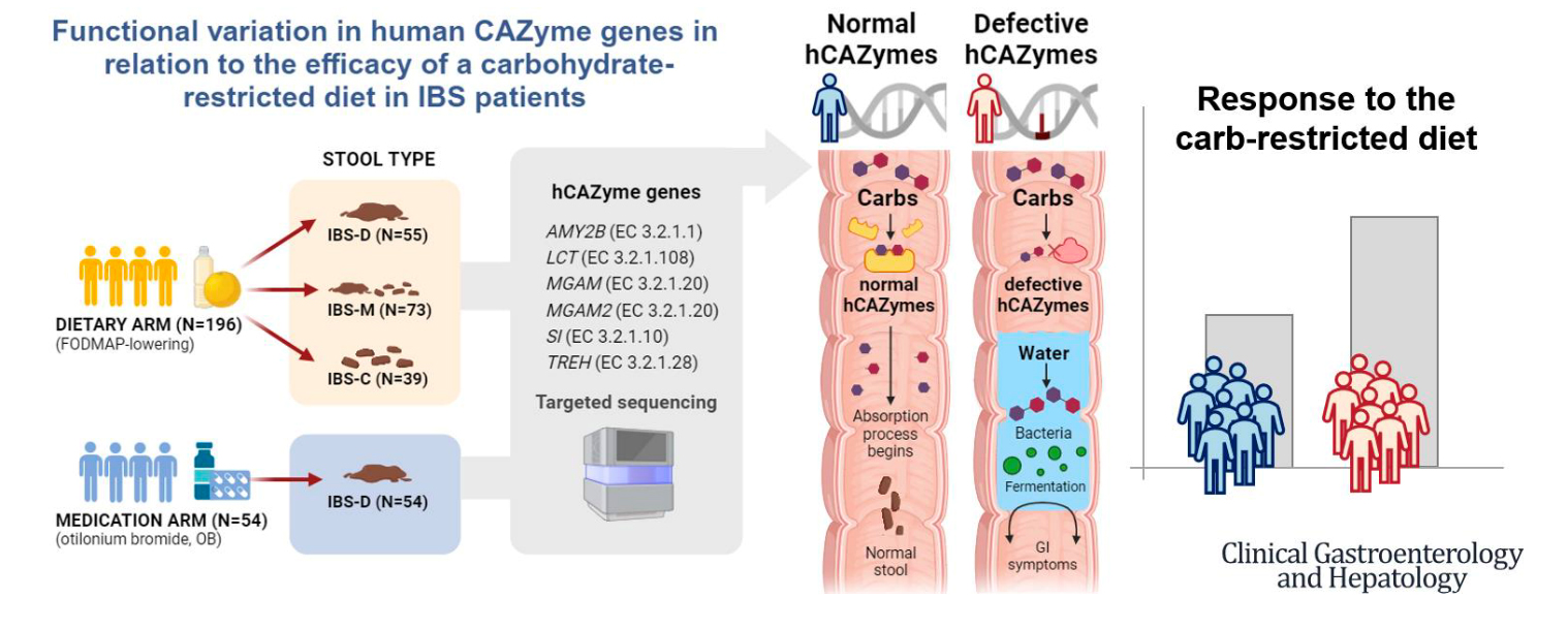 Abstract_Reizdarm.jpg Grafische Zusammenfassung der wissenschaftlichen Veröffentlichung.