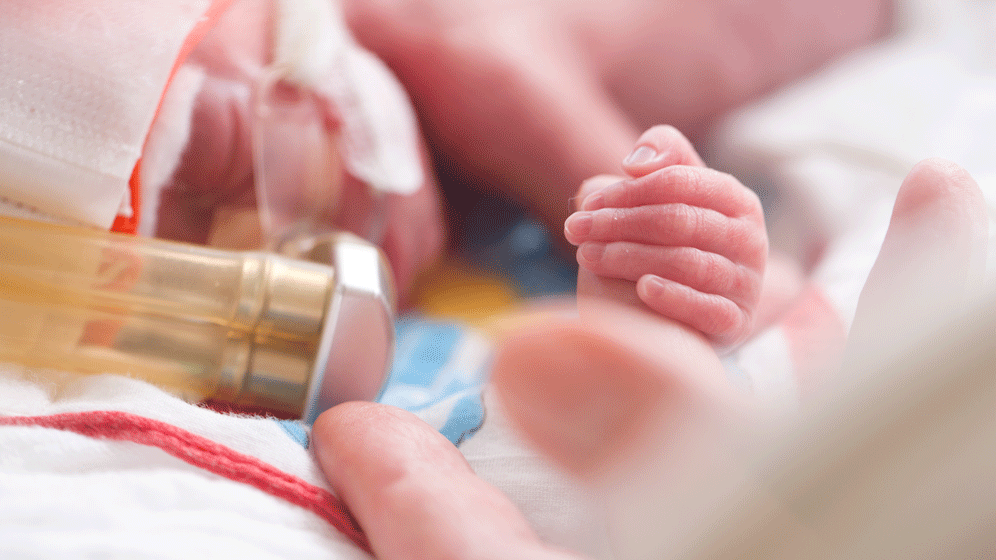 AdobeStock_315365313.gif AdobeStock_315365313.gif