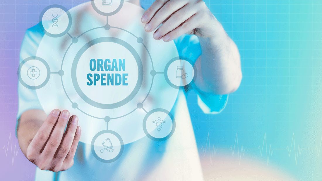 AdobeStock_489871713.gif Organspende: Ein Arzt hält ein virtuelles Interface mit Text und Icons im Kreis.