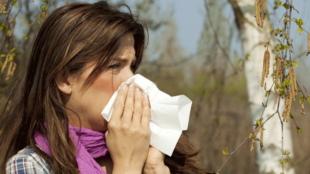 Heuschnupfen.gif Heuschnupfen