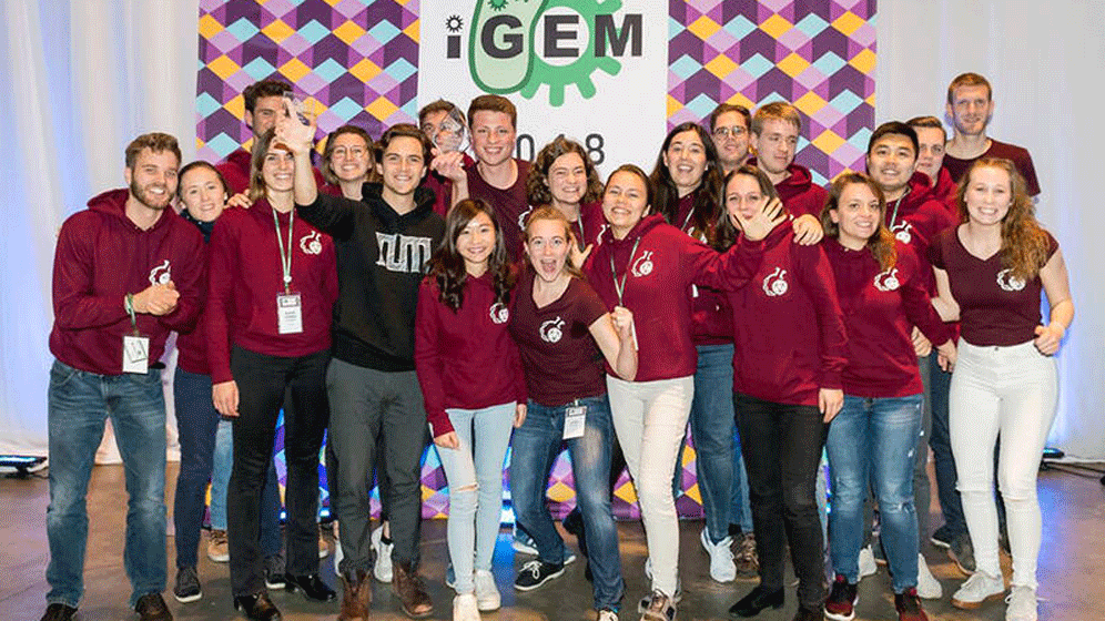 csm_iGEM_Team_web_01_b88d57a06d.gif Antibiotika